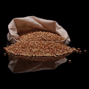 lentlis_620x620-300x300